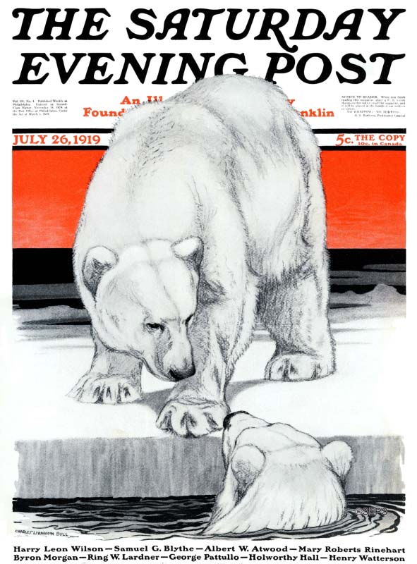 Polar Bears | The Saturday Evening Post