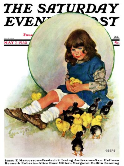 Baby Chicks | The Saturday Evening Post