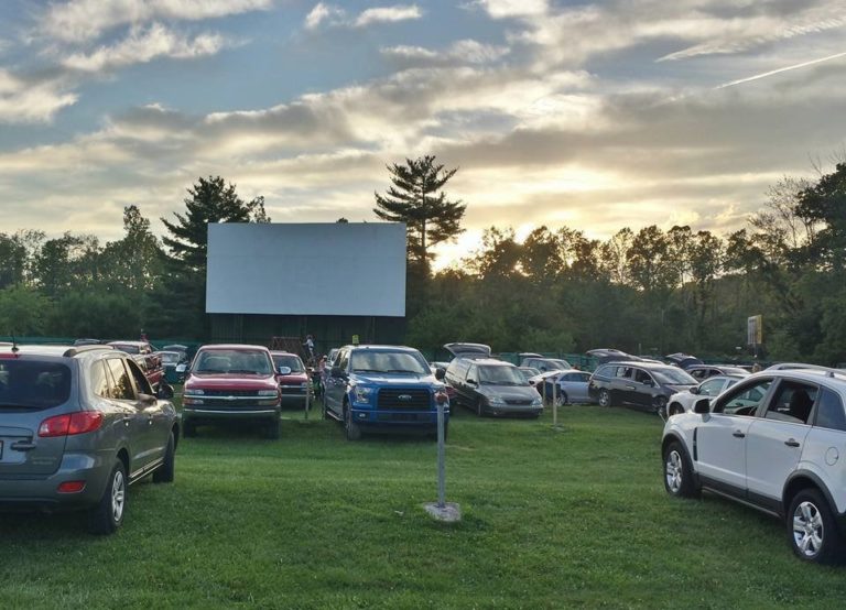 drive in movie theaters springfield il