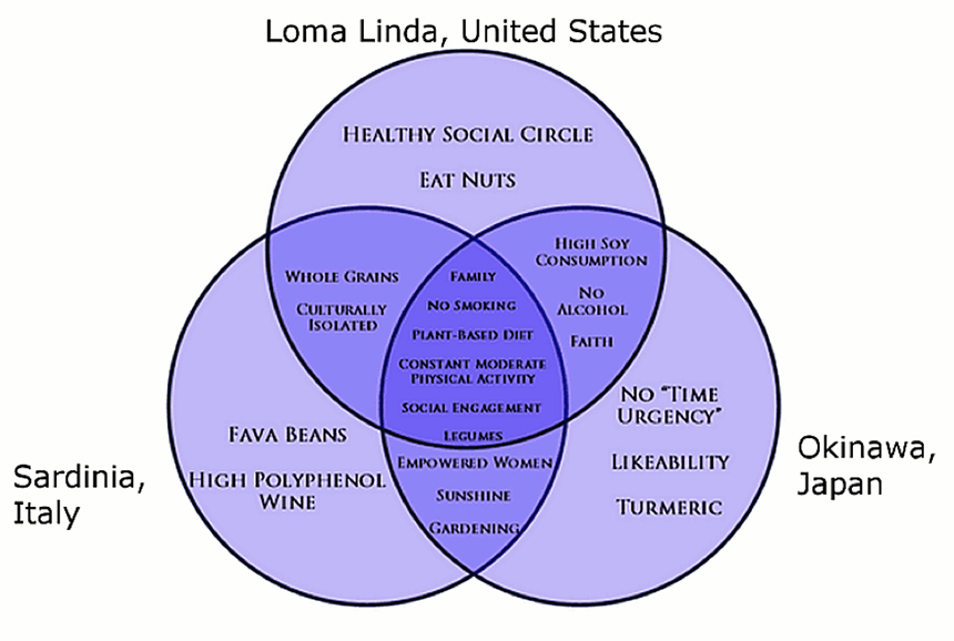 Blue Zones Diagram