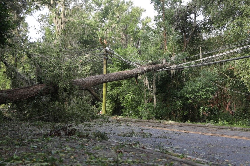 Your Health Checkup: Worsening Electrical Blackouts Threaten the ...